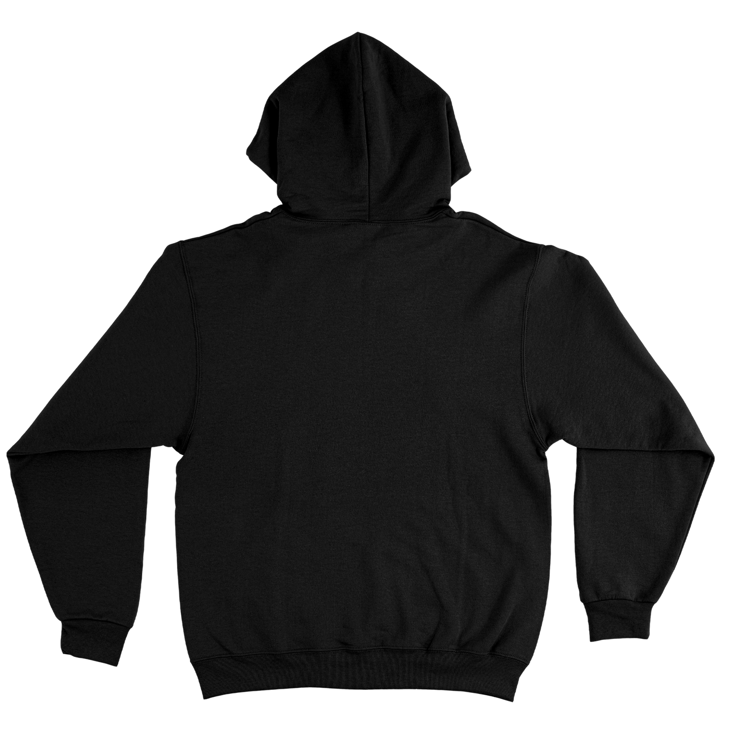 HOODIE "RECORD"